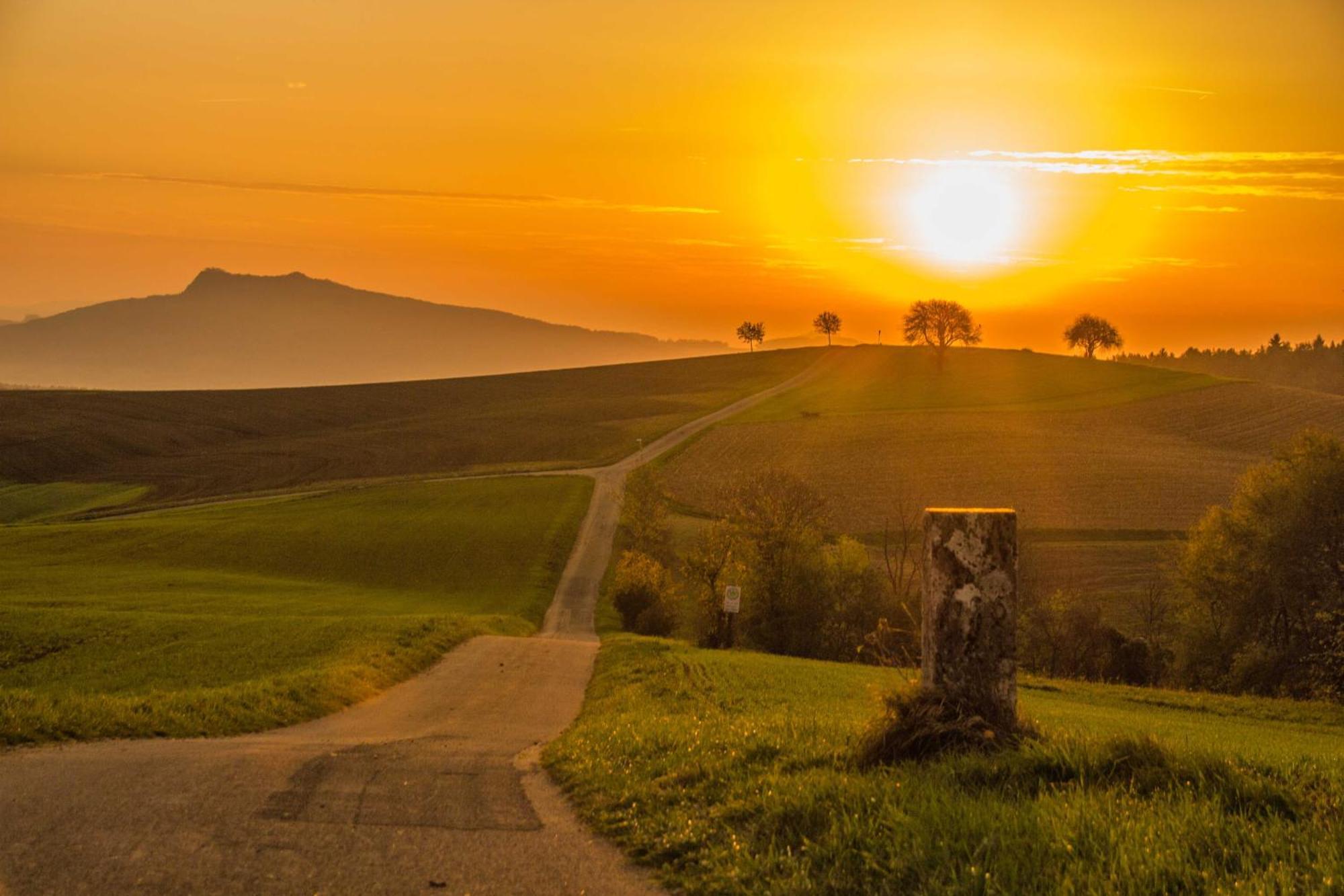Landgasthof Schuetzen Tengen Exteriér fotografie